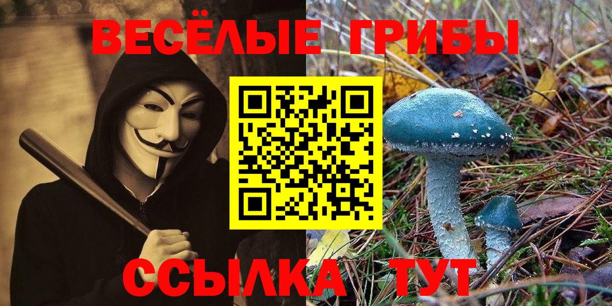 Псилоцибиновые грибы мухоморы  Вход с VPN  Ревда 